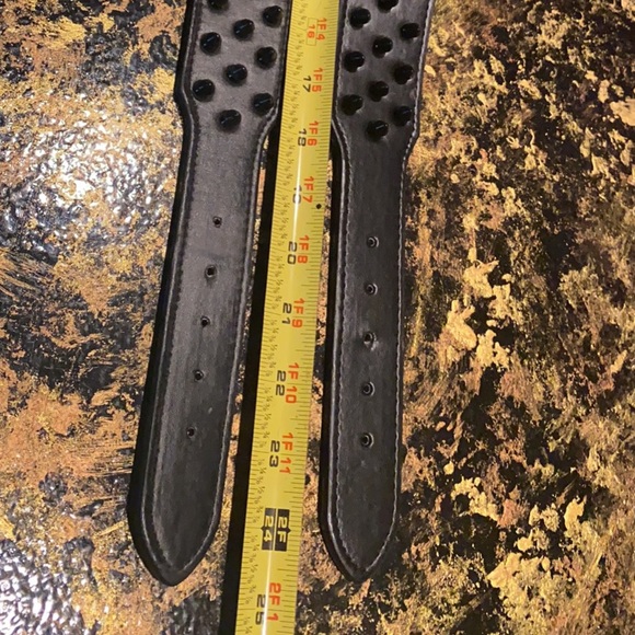 Titanium Spiked Dog Collar 24” - Picture 2 of 4